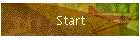 Start